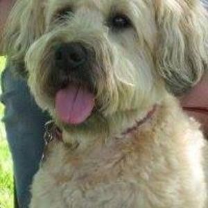 Meet your Posher, Barrie